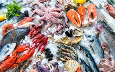 Unlock the Future of Frozen Seafood