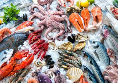 Unlock the Future of Frozen Seafood