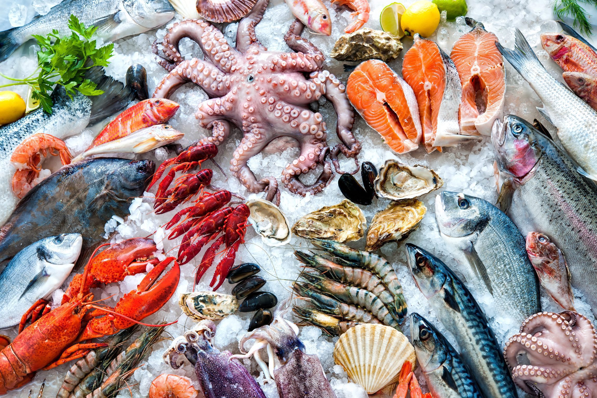 Unlock the Future of Frozen Seafood