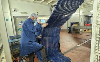 Spiral Belting – Find out what happened when a poultry processor delayed their spiral belet maintenance