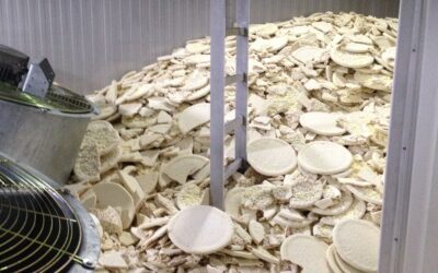 Tension Drive Sprocket – Driven by Teeth, Trusted for Tension