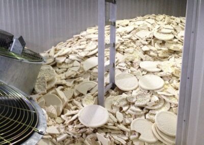 Tension Drive Sprocket – Driven by Teeth, Trusted for Tension