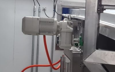 The Critical Role of the Auxiliary Drive in Spiral Freezers – When to Replace & Why It Matters